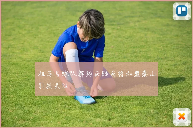 祖马与球队解约获赔或将加盟泰山引发关注